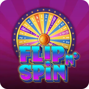 FLIP N' SPIN